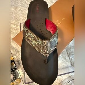 Coach Judy SIG black brown/Bronze  9.5M